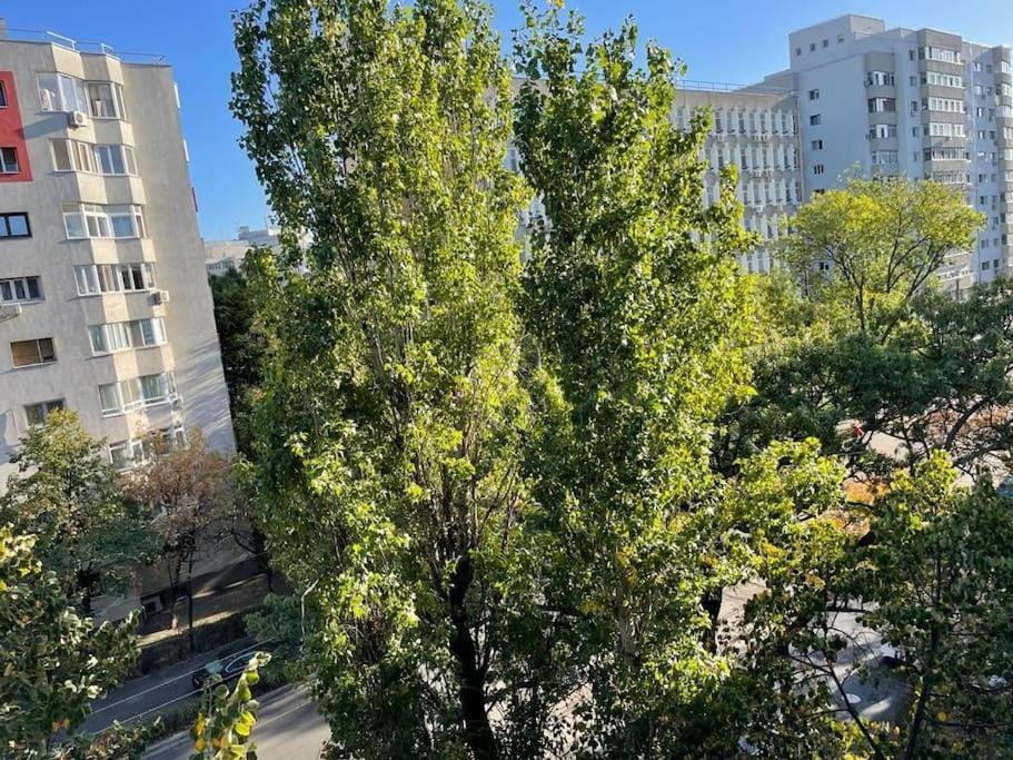 Mav Bucharest Apartment Bagian luar foto