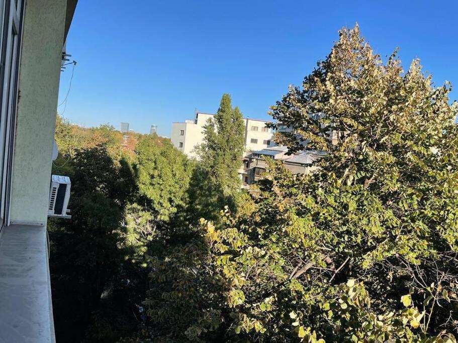 Mav Bucharest Apartment Bagian luar foto
